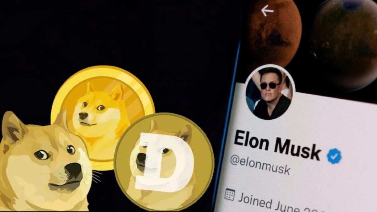 Elon musk dogecoin